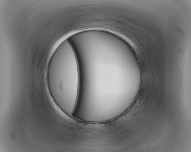 X0000115591526200911100920