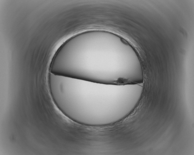 X0000115591527200911100920
