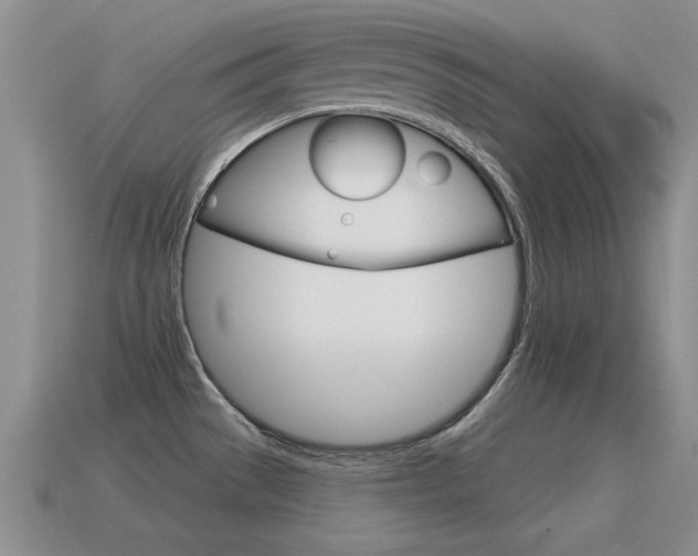 X0000115591529200911100921
