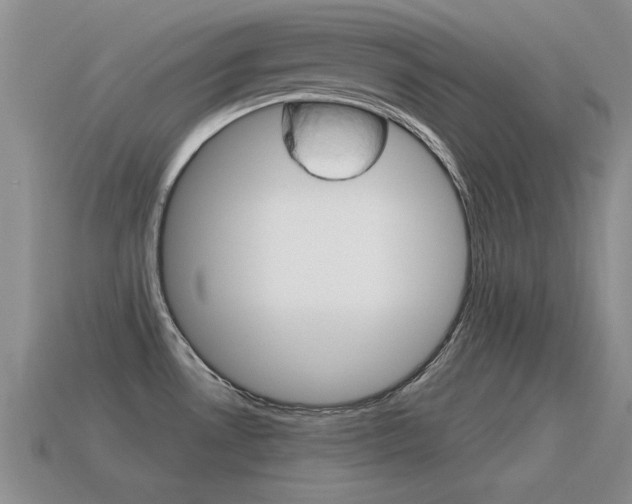 X0000115591530200911100921