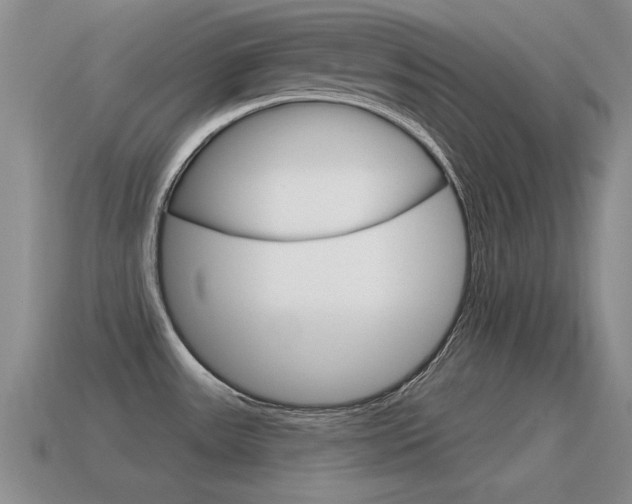 X0000115591531200911100921