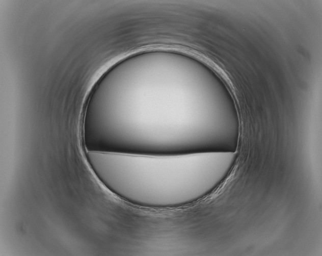 X0000115591533200911100921