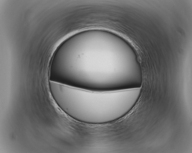 X0000115591534200911100921
