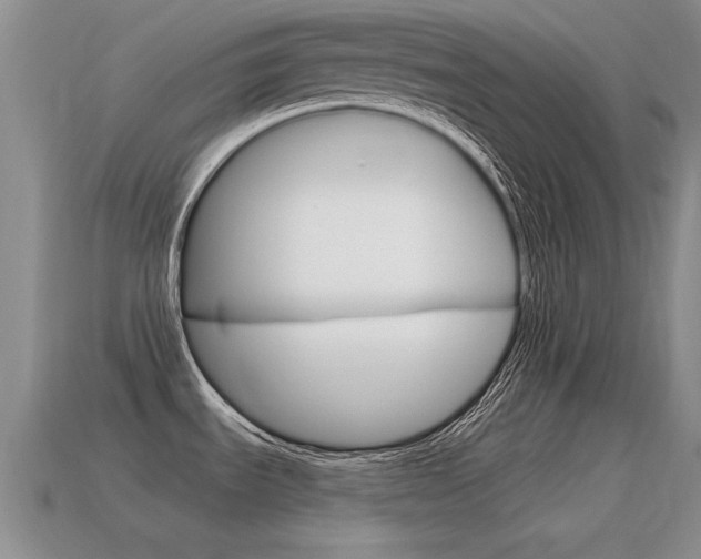 X0000115591535200911100921