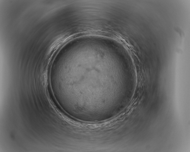 X0000115590002200911101248