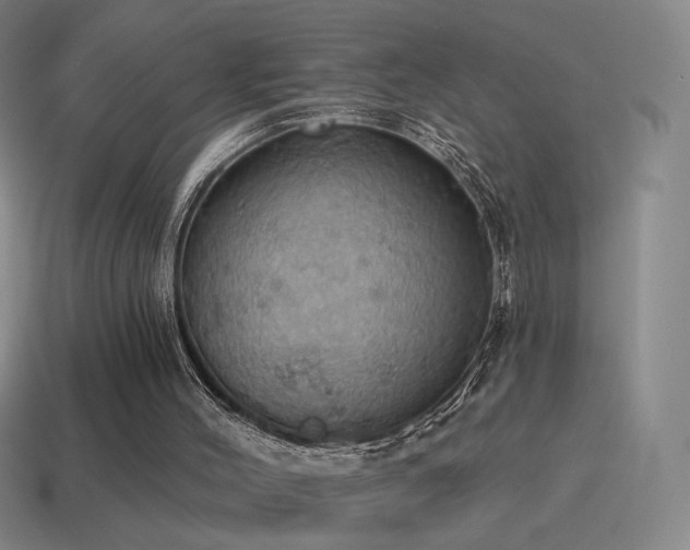 X0000115590004200911101248