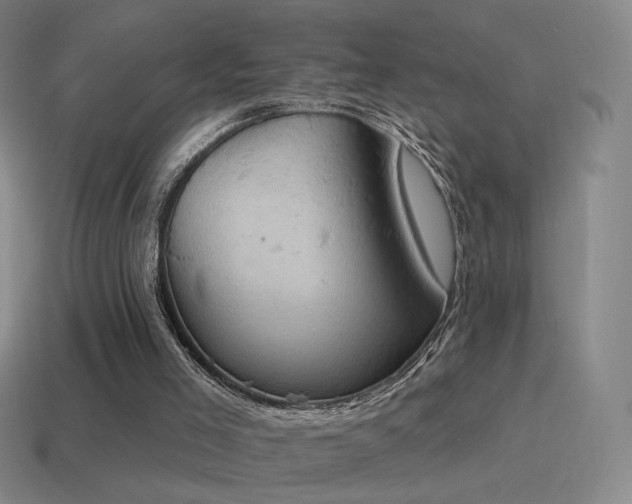 X0000115590005200911101248