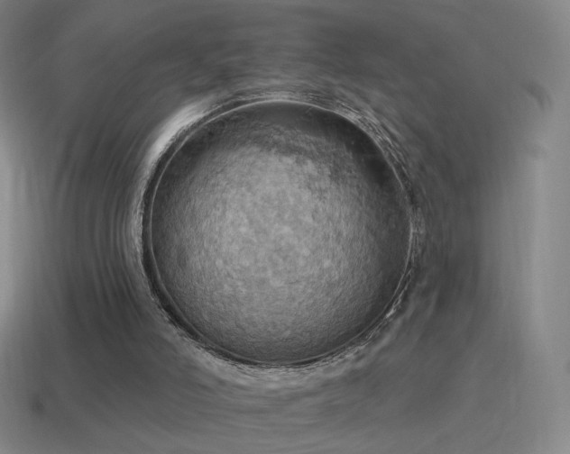 X0000115590006200911101248