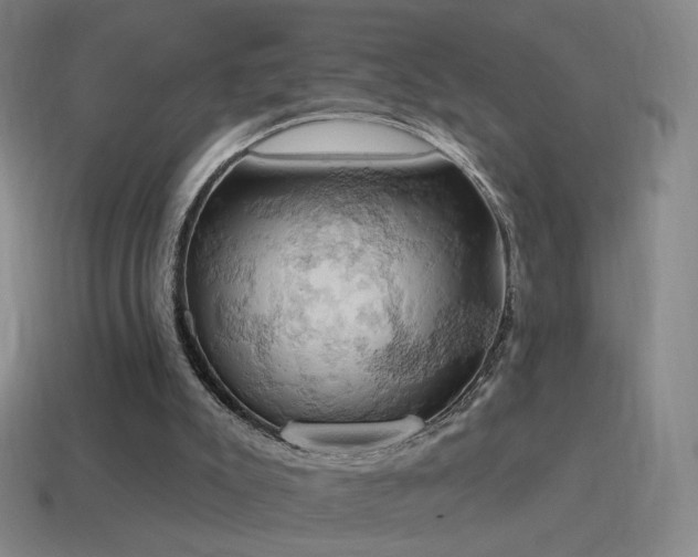 X0000115590007200911101248