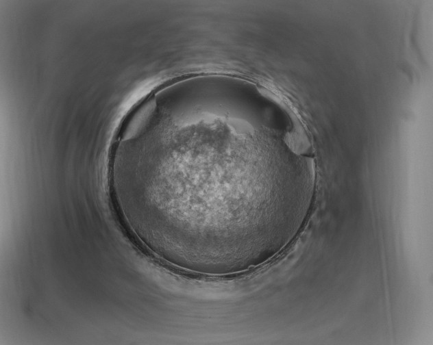 X0000115590008200911101248