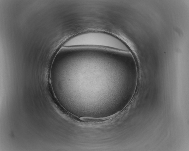 X0000115590009200911101248