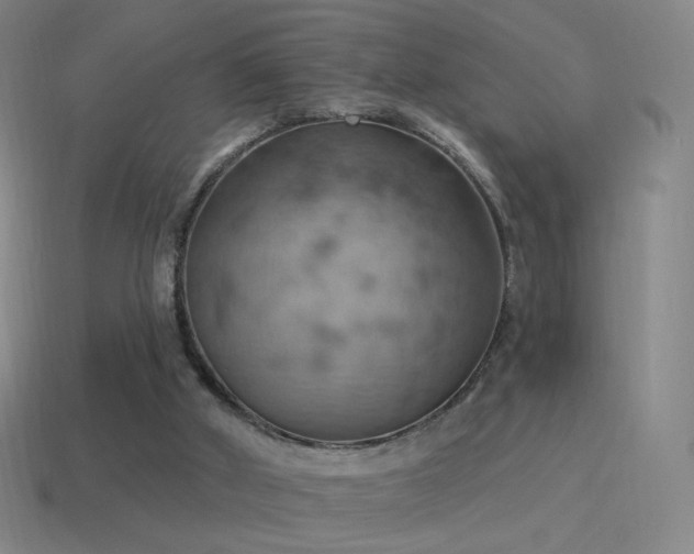 X0000115590010200911101248