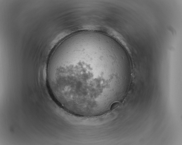 X0000115590011200911101248