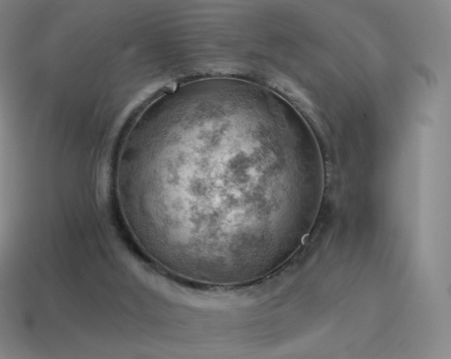 X0000115590012200911101248