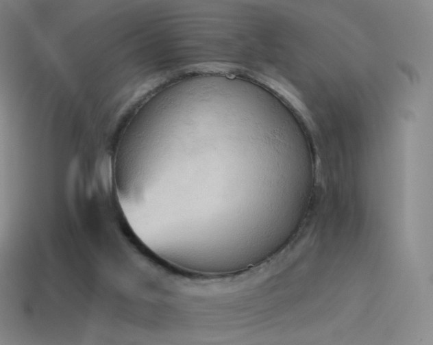 X0000115590013200911101248