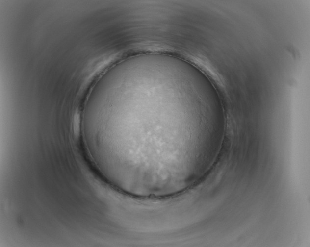 X0000115590014200911101248