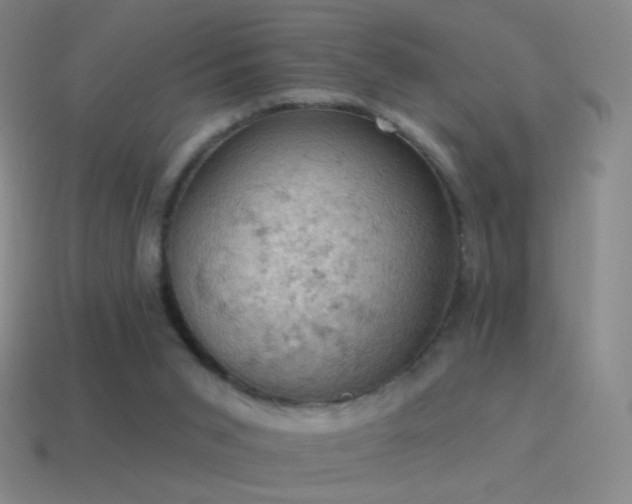 X0000115590015200911101248