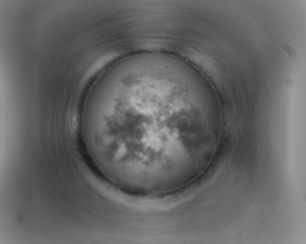 X0000115590016200911101248