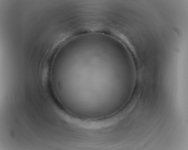 X0000115590018200911101248