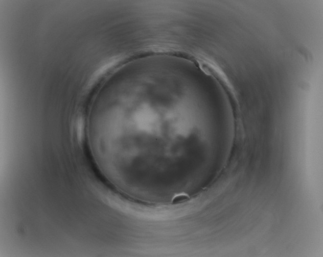 X0000115590019200911101248