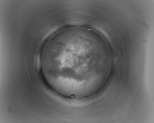 X0000115590020200911101248