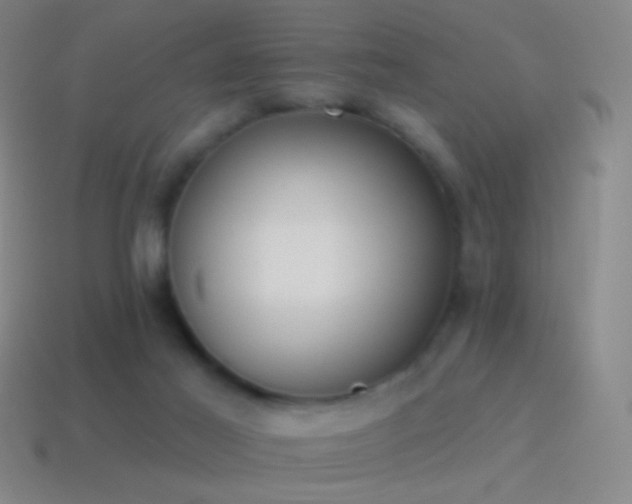 X0000115590021200911101247