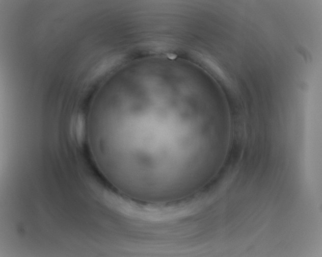 X0000115590022200911101247