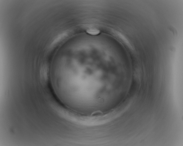 X0000115590023200911101247