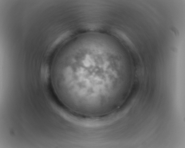 X0000115590024200911101247