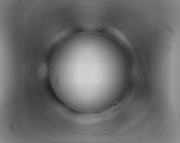 X0000115590025200911101247