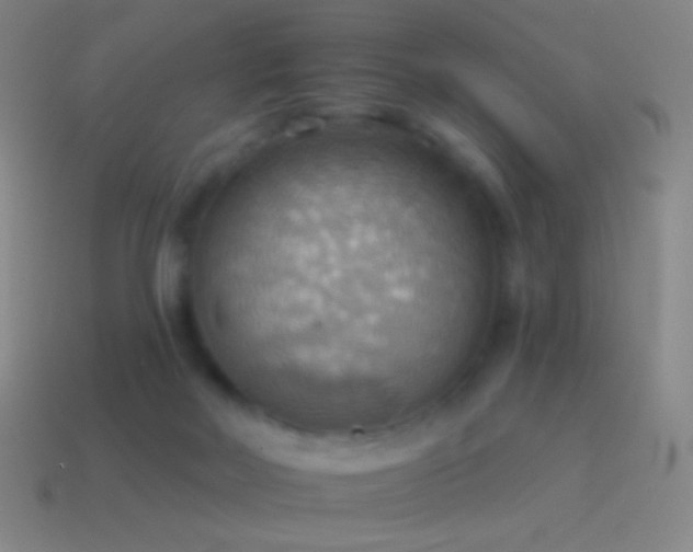 X0000115590026200911101247