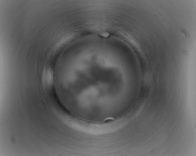 X0000115590027200911101247
