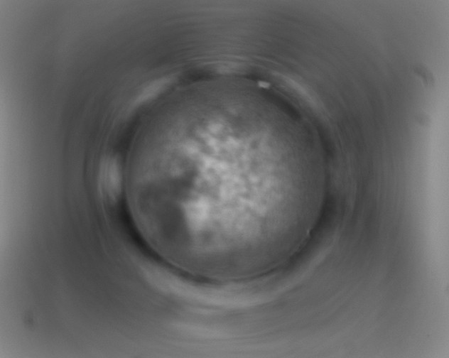X0000115590028200911101247