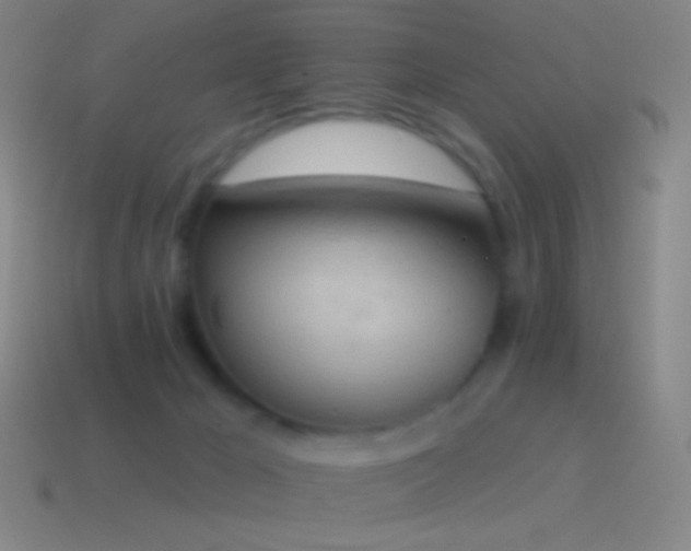 X0000115590029200911101247