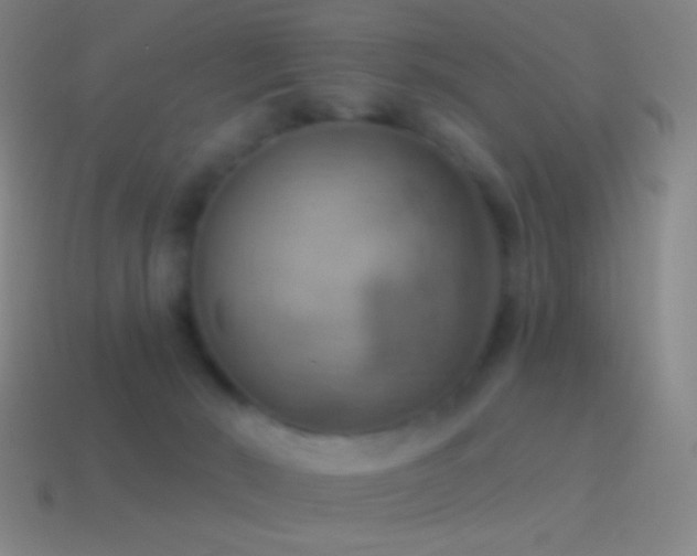 X0000115590030200911101247