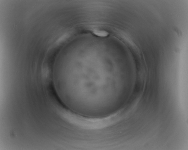 X0000115590031200911101247