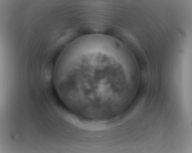 X0000115590032200911101247