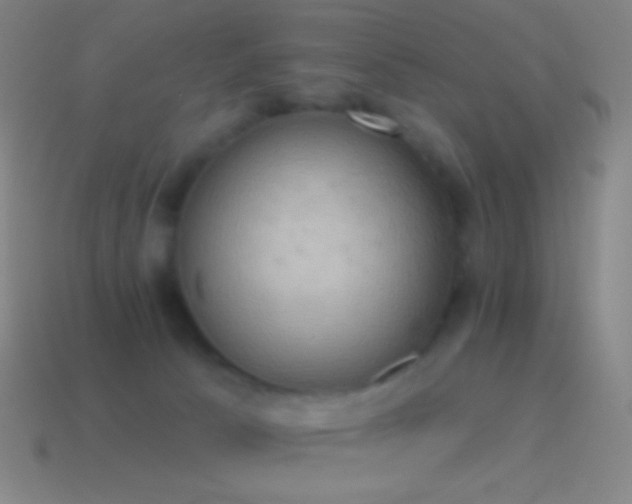 X0000115590033200911101247