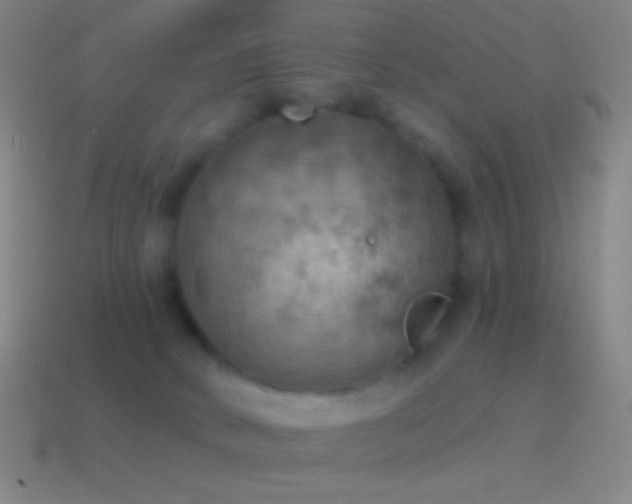 X0000115590034200911101247