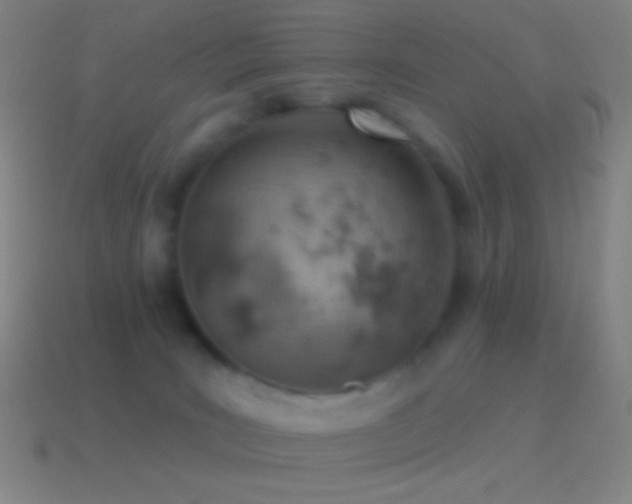X0000115590035200911101247