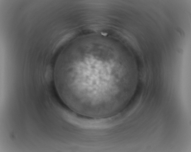 X0000115590036200911101247
