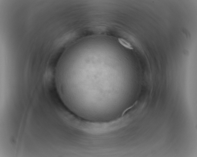 X0000115590037200911101247