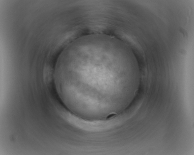 X0000115590038200911101247