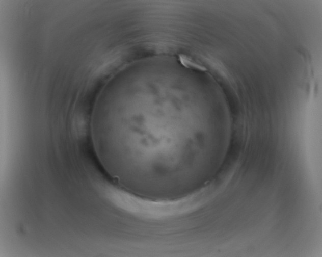X0000115590039200911101247