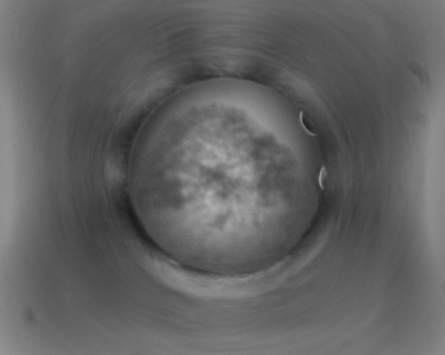 X0000115590040200911101247