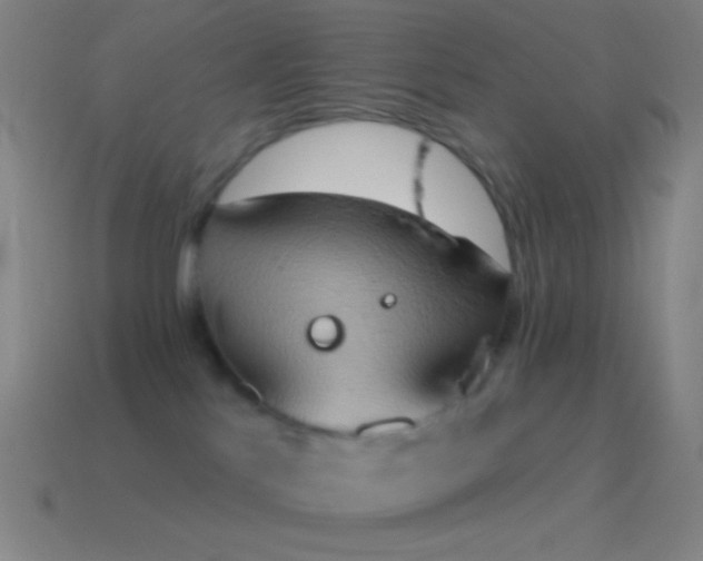 X0000115590041200911101247