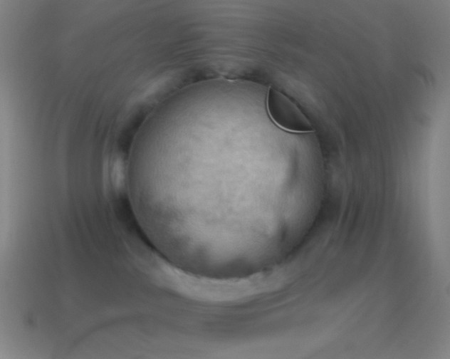 X0000115590042200911101247