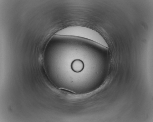 X0000115590045200911101247