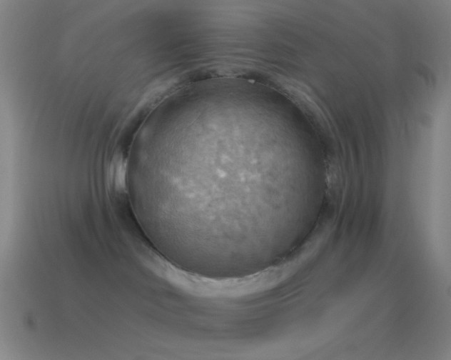 X0000115590046200911101247