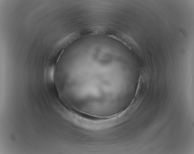 X0000115590047200911101247